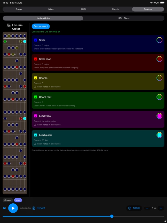 RazielReveal Litejam guitar fretboard guidance